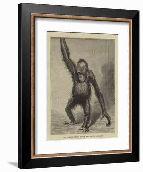 The Ourang Outang at the Westminster Aquarium-null-Framed Giclee Print