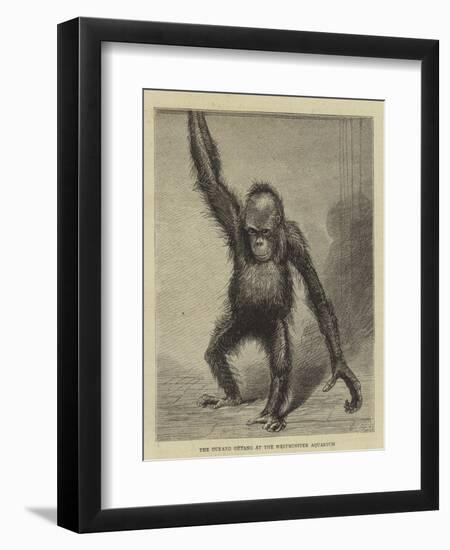 The Ourang Outang at the Westminster Aquarium-null-Framed Giclee Print