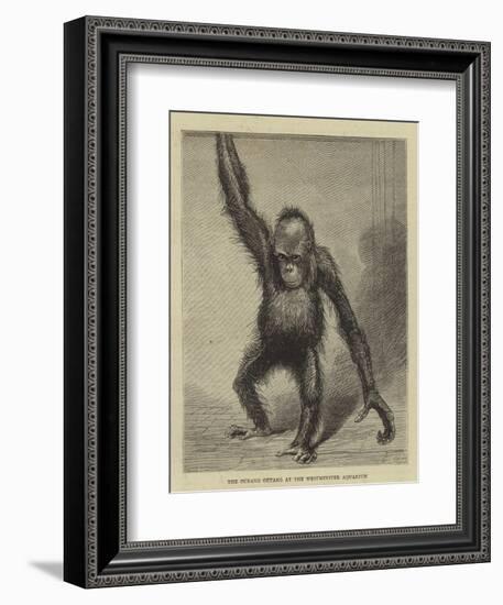 The Ourang Outang at the Westminster Aquarium-null-Framed Giclee Print