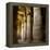 The Outer Hypostyle Hall in the Temple of Hathor, Dendera Necropolis, Qena-Tony Waltham-Framed Premier Image Canvas