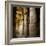 The Outer Hypostyle Hall in the Temple of Hathor, Dendera Necropolis, Qena-Tony Waltham-Framed Photographic Print