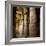 The Outer Hypostyle Hall in the Temple of Hathor, Dendera Necropolis, Qena-Tony Waltham-Framed Photographic Print