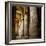 The Outer Hypostyle Hall in the Temple of Hathor, Dendera Necropolis, Qena-Tony Waltham-Framed Photographic Print