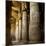 The Outer Hypostyle Hall in the Temple of Hathor, Dendera Necropolis, Qena-Tony Waltham-Mounted Photographic Print