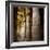 The Outer Hypostyle Hall in the Temple of Hathor, Dendera Necropolis, Qena-Tony Waltham-Framed Photographic Print