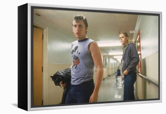 THE OUTSIDERS, 1982 directed by FRANCIS FORD COPPOLA Emilio Estevez andThomas C. Howell (photo)-null-Framed Stretched Canvas
