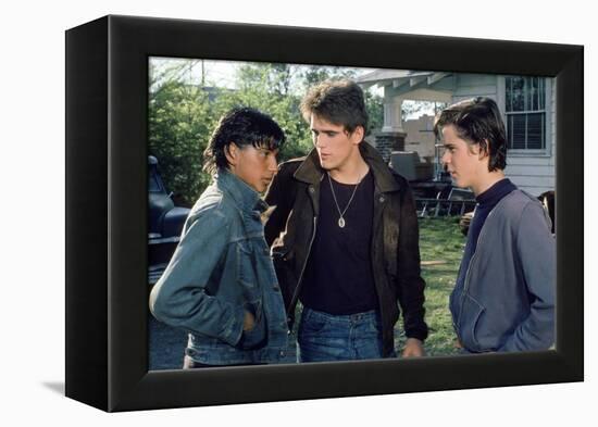 THE OUTSIDERS, 1982 directed by FRANCIS FORD COPPOLA Ralph Macchio, Matt Dillon andThomas C. Howell-null-Framed Stretched Canvas