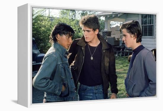 THE OUTSIDERS, 1982 directed by FRANCIS FORD COPPOLA Ralph Macchio, Matt Dillon andThomas C. Howell-null-Framed Stretched Canvas