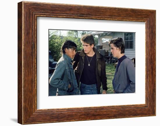 THE OUTSIDERS, 1982 directed by FRANCIS FORD COPPOLA Ralph Macchio, Matt Dillon andThomas C. Howell-null-Framed Photo