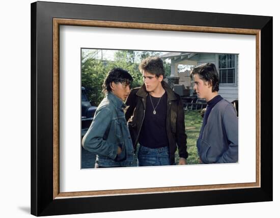 THE OUTSIDERS, 1982 directed by FRANCIS FORD COPPOLA Ralph Macchio, Matt Dillon andThomas C. Howell-null-Framed Photo