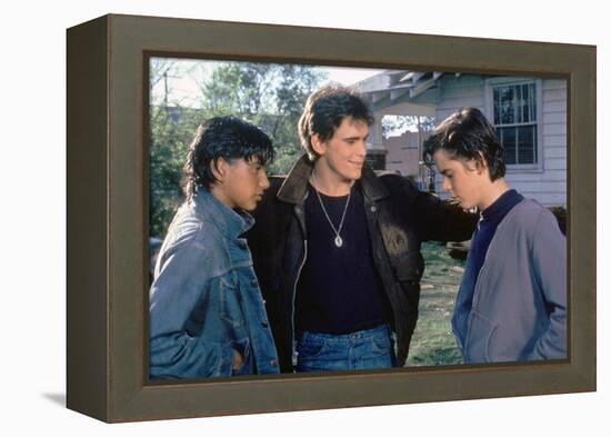 THE OUTSIDERS, 1982 directed by FRANCIS FORD COPPOLA Ralph Macchio, Matt Dillon andThomas C. Howell-null-Framed Stretched Canvas