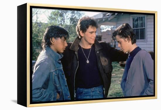 THE OUTSIDERS, 1982 directed by FRANCIS FORD COPPOLA Ralph Macchio, Matt Dillon andThomas C. Howell-null-Framed Stretched Canvas