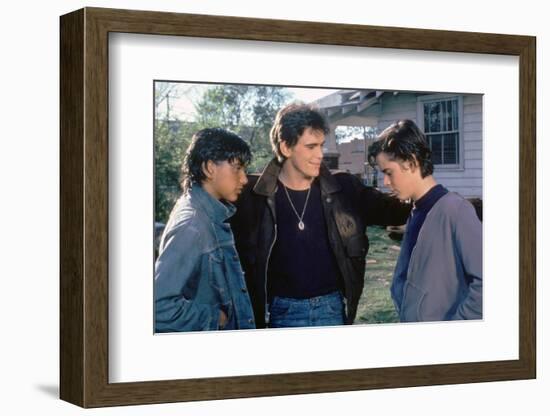 THE OUTSIDERS, 1982 directed by FRANCIS FORD COPPOLA Ralph Macchio, Matt Dillon andThomas C. Howell-null-Framed Photo