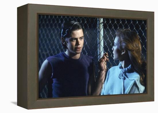 THE OUTSIDERS, 1982 directed by FRANCIS FORD COPPOLA Thomas C. Howell and Diane Lane (photo)-null-Framed Stretched Canvas
