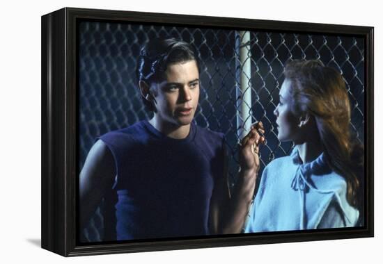 THE OUTSIDERS, 1982 directed by FRANCIS FORD COPPOLA Thomas C. Howell and Diane Lane (photo)-null-Framed Stretched Canvas