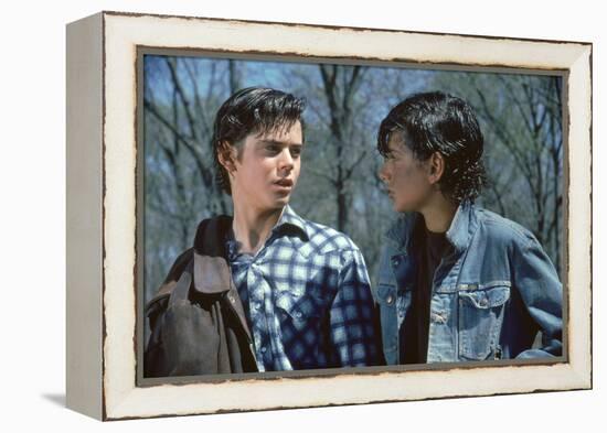 THE OUTSIDERS, 1982 directed by FRANCIS FORD COPPOLA Thomas C. Howell and Ralph macchio (photo)-null-Framed Stretched Canvas
