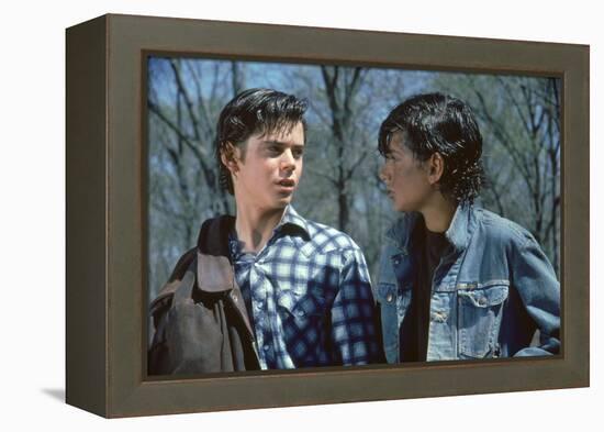 THE OUTSIDERS, 1982 directed by FRANCIS FORD COPPOLA Thomas C. Howell and Ralph macchio (photo)-null-Framed Stretched Canvas