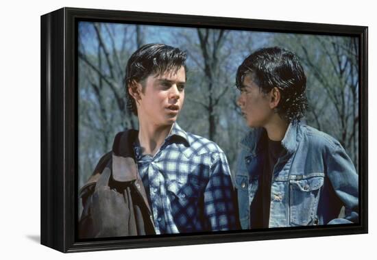 THE OUTSIDERS, 1982 directed by FRANCIS FORD COPPOLA Thomas C. Howell and Ralph macchio (photo)-null-Framed Stretched Canvas