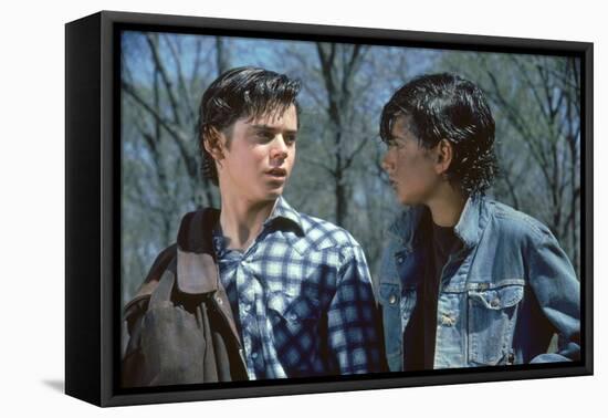 THE OUTSIDERS, 1982 directed by FRANCIS FORD COPPOLA Thomas C. Howell and Ralph macchio (photo)-null-Framed Stretched Canvas