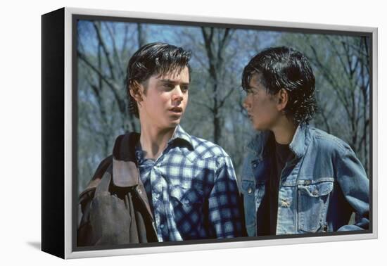 THE OUTSIDERS, 1982 directed by FRANCIS FORD COPPOLA Thomas C. Howell and Ralph macchio (photo)-null-Framed Stretched Canvas