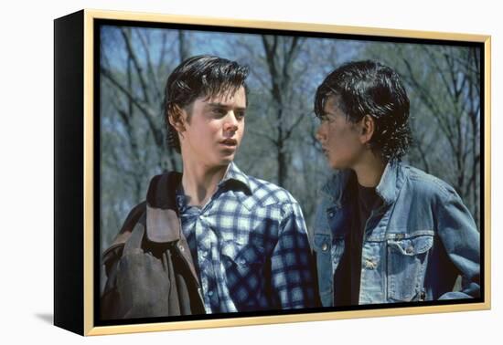 THE OUTSIDERS, 1982 directed by FRANCIS FORD COPPOLA Thomas C. Howell and Ralph macchio (photo)-null-Framed Stretched Canvas