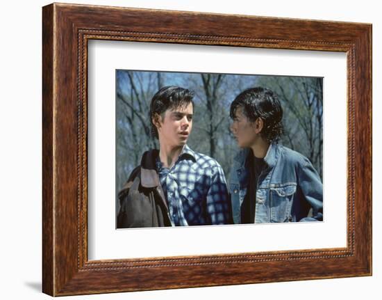 THE OUTSIDERS, 1982 directed by FRANCIS FORD COPPOLA Thomas C. Howell and Ralph macchio (photo)-null-Framed Photo