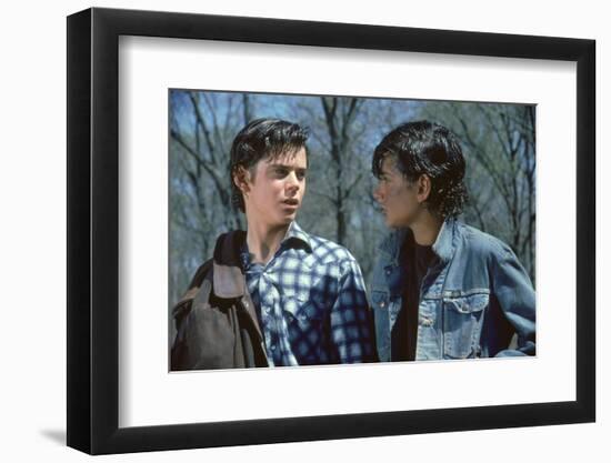 THE OUTSIDERS, 1982 directed by FRANCIS FORD COPPOLA Thomas C. Howell and Ralph macchio (photo)-null-Framed Photo