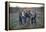 THE OUTSIDERS, 1982-null-Framed Stretched Canvas