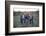 THE OUTSIDERS, 1982-null-Framed Photo