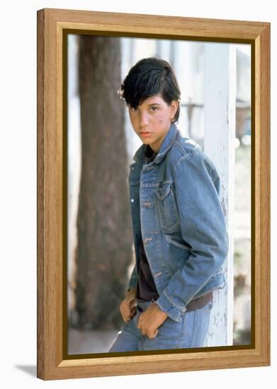 The Outsiders, Ralph Macchio, Directed by Francis Ford Coppola, 1982-null-Framed Stretched Canvas