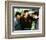 The Outsiders-null-Framed Photo