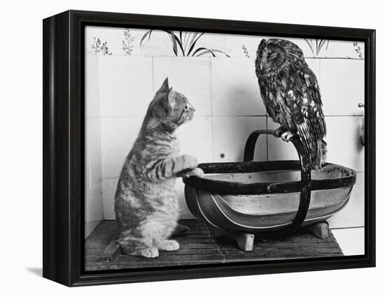 The Owl and the Pussycat: 'Wake Up, Aren't You Even a Bit Scared of Me, Owl?'-null-Framed Premier Image Canvas