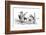 The Owl and The Pussycat-Edward Lear-Framed Premium Giclee Print