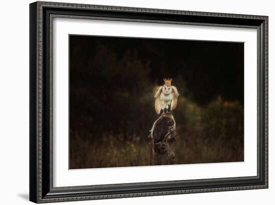 The Owl King-Carrie Ann Grippo-Pike-Framed Art Print