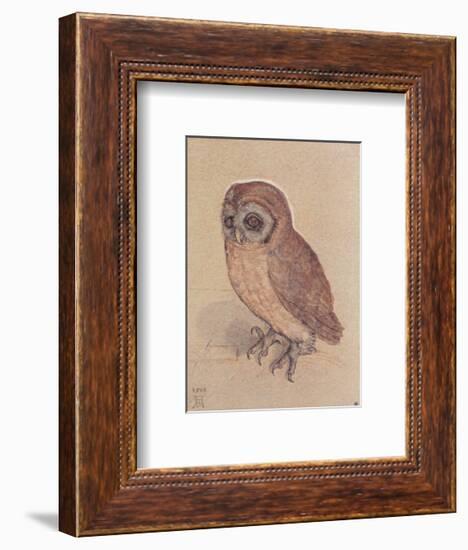 The Owlet-Albrecht Dürer-Framed Art Print