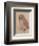 The Owlet-Albrecht Dürer-Framed Art Print