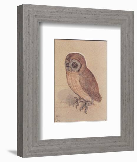 The Owlet-Albrecht Dürer-Framed Art Print