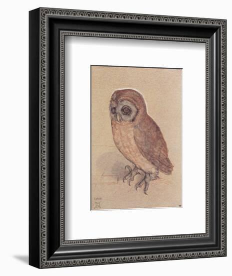 The Owlet-Albrecht Dürer-Framed Art Print