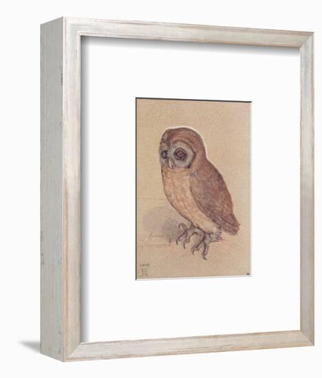 The Owlet-Albrecht Dürer-Framed Art Print