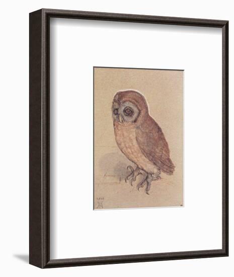 The Owlet-Albrecht Dürer-Framed Art Print