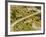 The Pack Rides Down the Glandon Pass During the 17th Stage of the Tour De France-null-Framed Photographic Print