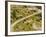 The Pack Rides Down the Glandon Pass During the 17th Stage of the Tour De France-null-Framed Photographic Print