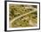 The Pack Rides Down the Glandon Pass During the 17th Stage of the Tour De France-null-Framed Photographic Print