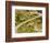 The Pack Rides Down the Glandon Pass During the 17th Stage of the Tour De France-null-Framed Photographic Print