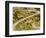 The Pack Rides Down the Glandon Pass During the 17th Stage of the Tour De France-null-Framed Photographic Print