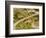 The Pack Rides Down the Glandon Pass During the 17th Stage of the Tour De France-null-Framed Photographic Print