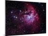 The Pacman Nebula-Stocktrek Images-Mounted Photographic Print