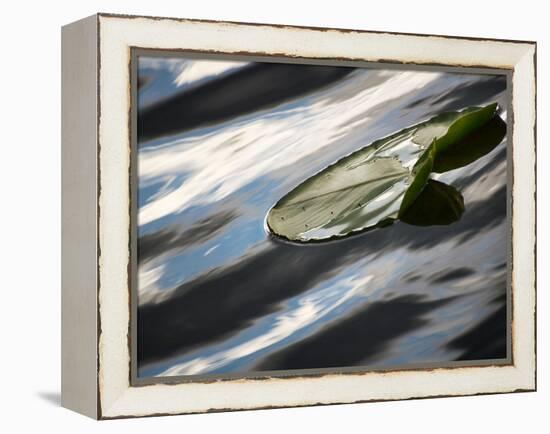 The Pad-Ursula Abresch-Framed Premier Image Canvas