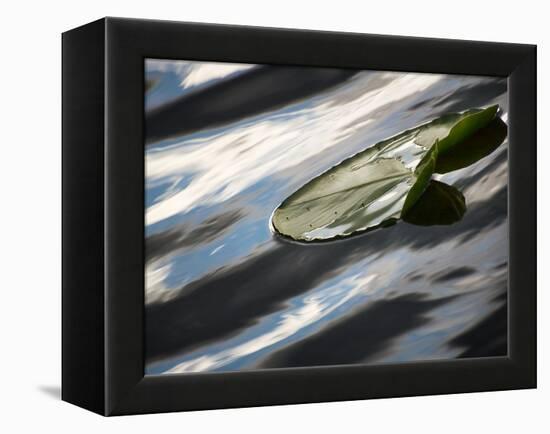 The Pad-Ursula Abresch-Framed Premier Image Canvas