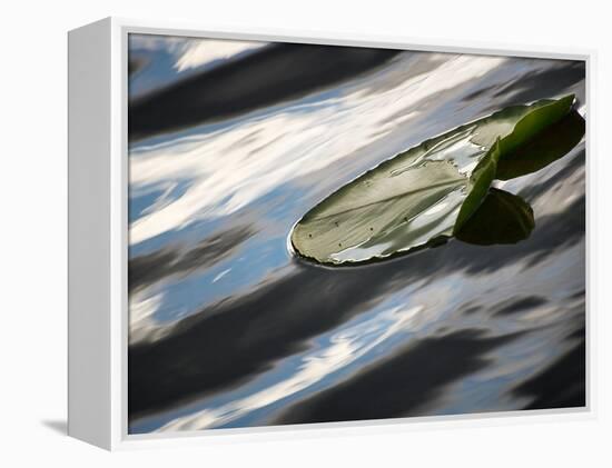 The Pad-Ursula Abresch-Framed Premier Image Canvas